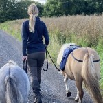 Sine Nørlund Profile Picture