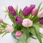 Dorthe Pedersen Profile Picture