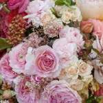 michele karagiannis Profile Picture