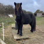 Trine Møller Hansen Profile Picture