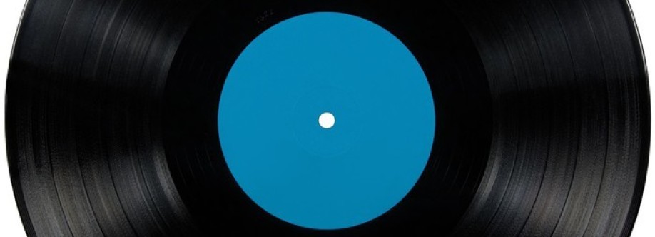 Discussion and appraisal of vinyl record
