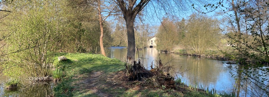 Boudewijn BlomHertbeek