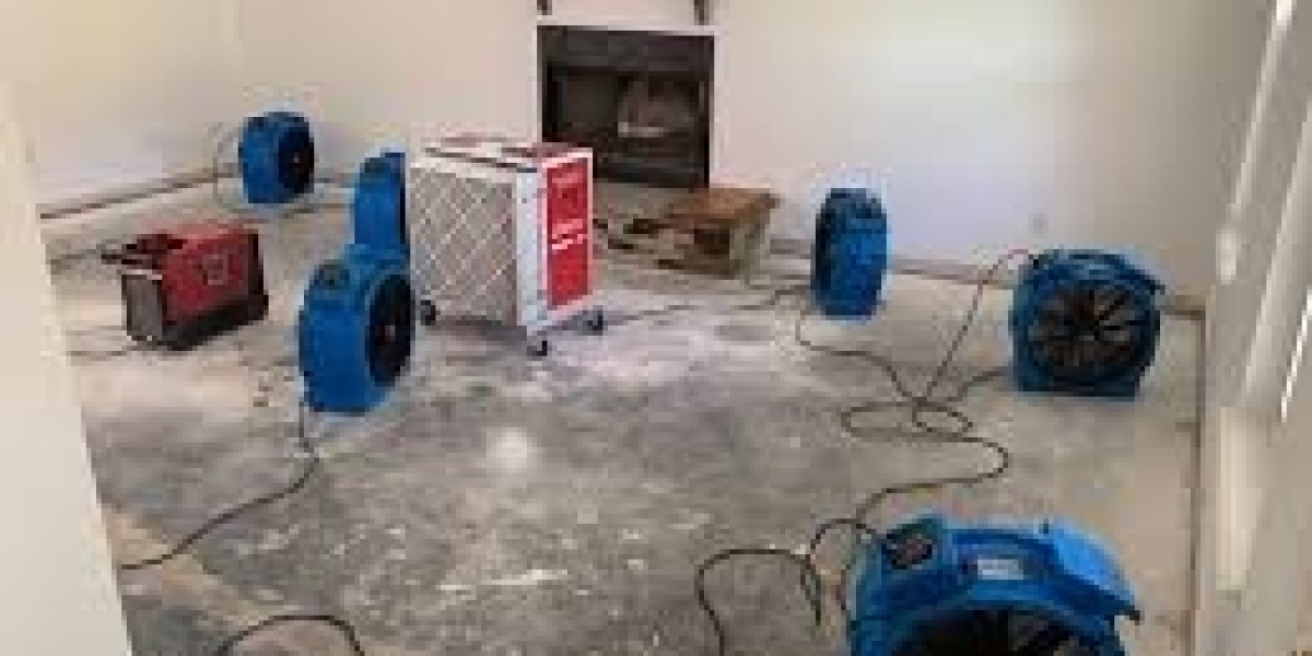 The Ultimate Guide to Water Damage Restoration Services
