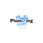 Houston Plumbing Expert