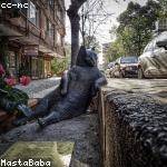 David Halvorson Profile Picture