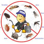 DrNeerav Goyal Profile Picture
