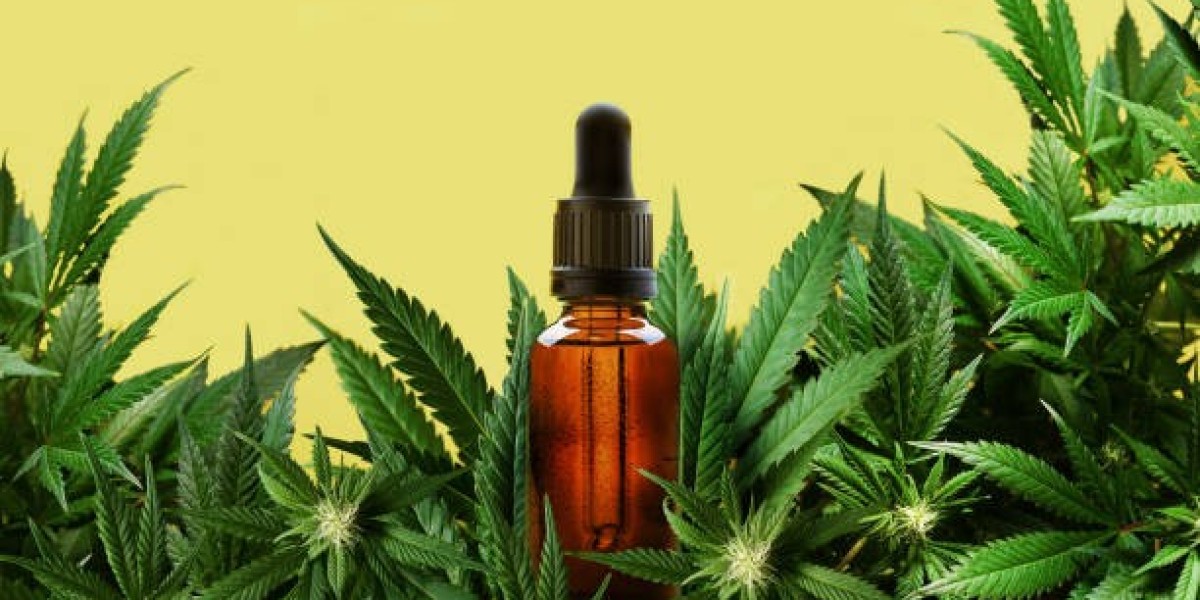 Pourquoi le CBD Pessac devient-il un incontournable pour les habitants ?