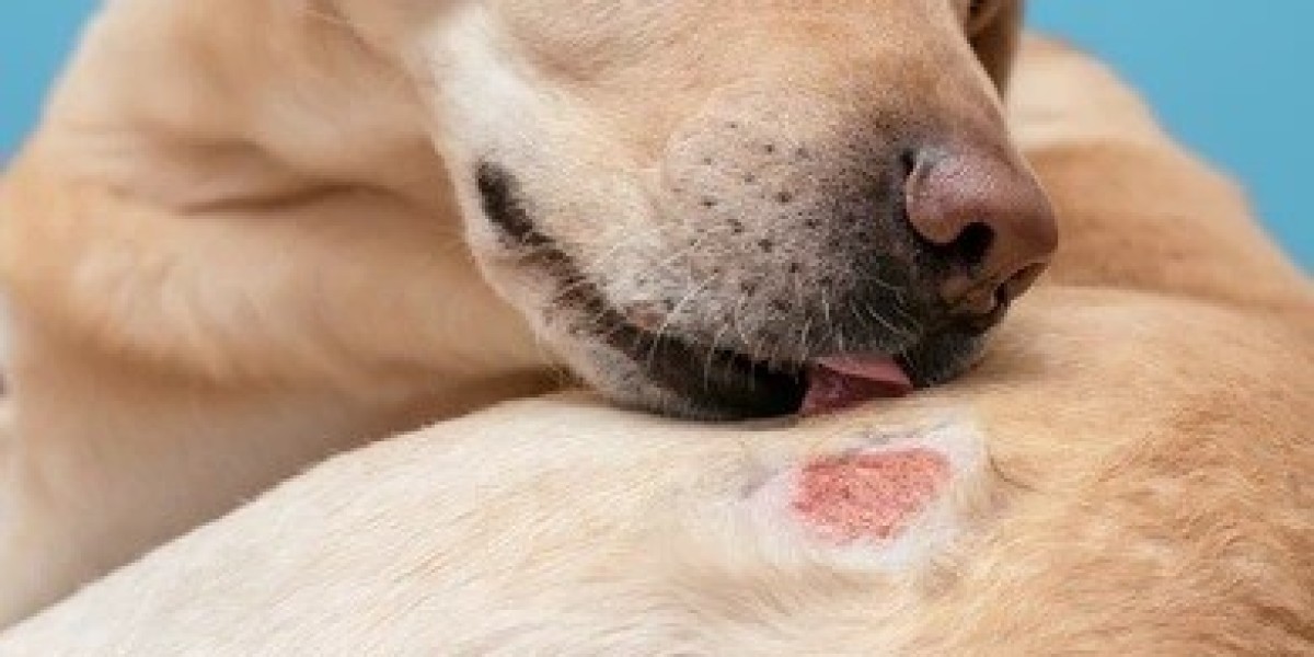 Fenbendazole 150 mg Dewormer for Dogs