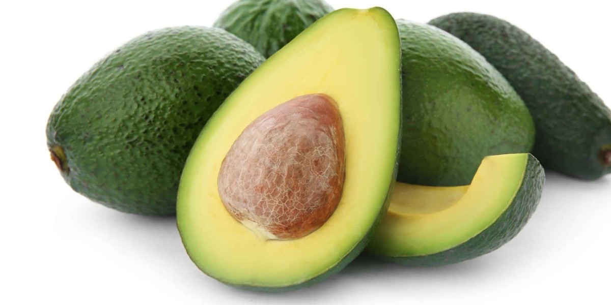 Mexico Avocado Oil Market Set to Expand Rapidly Due to Health Trends and Rising Global Demand – Renub Research