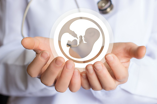 best ivf specialist in delhi | Best IVF doctor in Delhi | top ivf specialist in delhi - Dr. Rupali