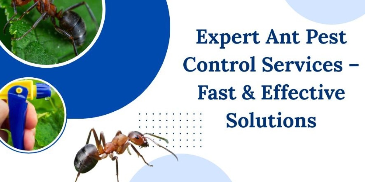 Expert Ant Pest Control Services – Fast & Effective Solutions