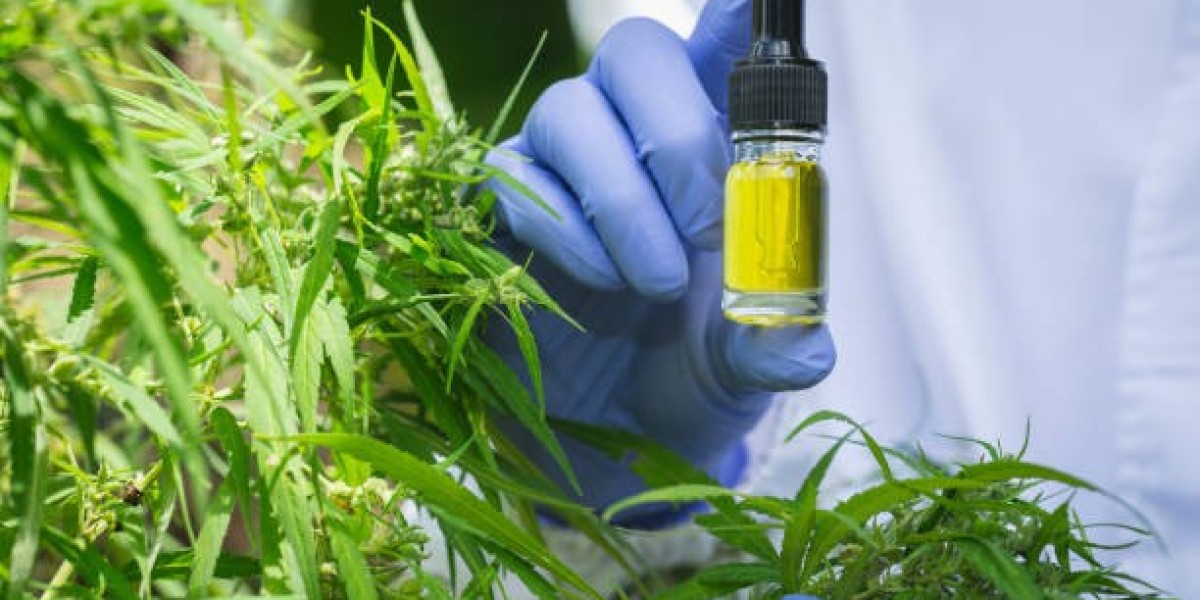Comment le CBD Pau transforme-t-il le bien-être des habitants ?