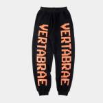 vertabrae vertabrae