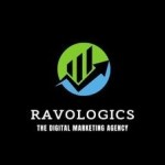 Ravo logics Profile Picture