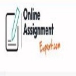online assignment expert