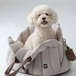 puppy carcarrier Profile Picture