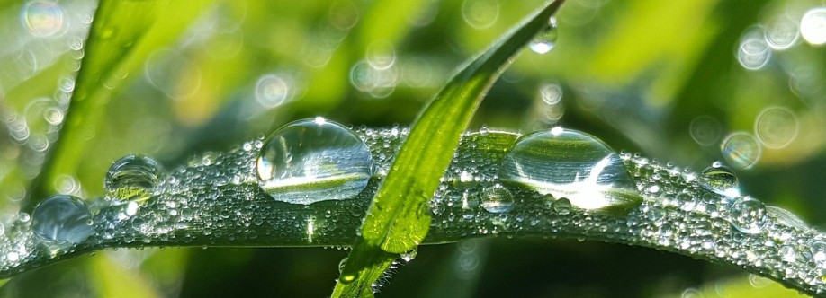 dew point Cover Image