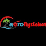 goto traveler Profile Picture