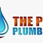 The Pro Plumbing Profile Picture