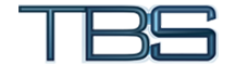 ThinkBiz Solutions | Expert SEO Consulting Services in India
