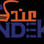 INDEK DEK Profile Picture