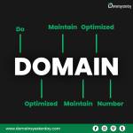 Domains Yesterday Profile Picture