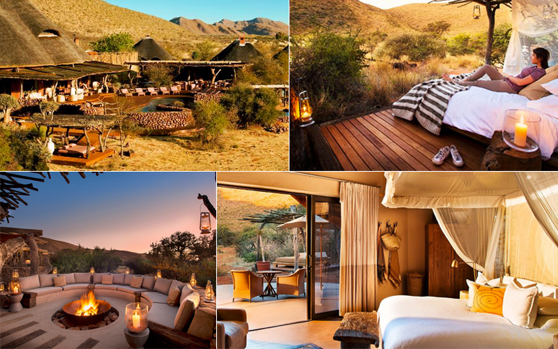Which African Country is Best for a Luxury Safari?