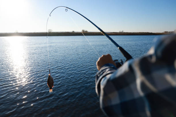Why Guided Fishing Trips Are a Classroom on the Water for Kids – Writoka