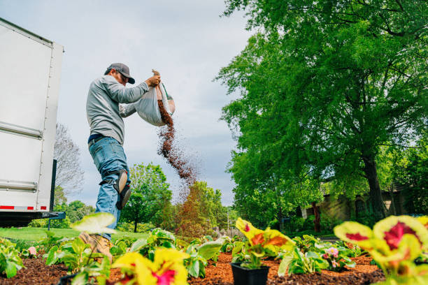 Why Should You Call a Landscaper Before Hosting Outdoor Parties? – Writoka