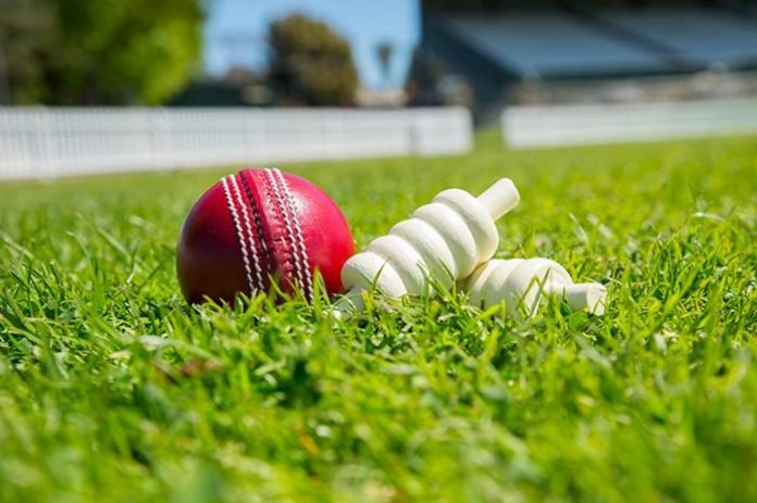SportReport.in: How Cricket Balances Passion, Records, and Digital Growth