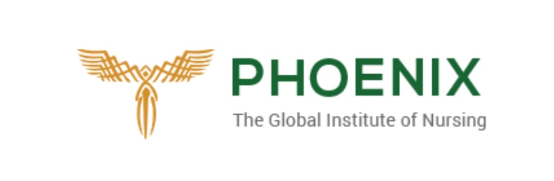 Phoenix Nursing Institute Cover Image