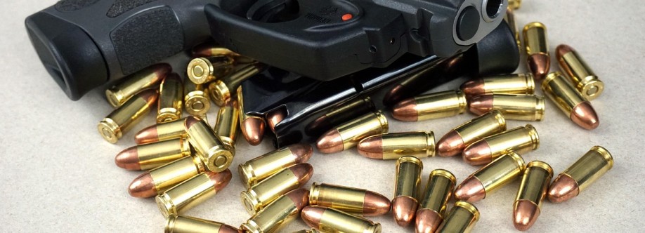 GunsAmerica Cover Image