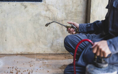 Why More Homeowners Book Pest Control Services After Heavy Rain? – View Pen