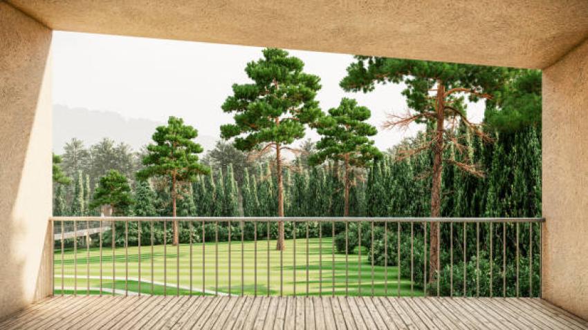 How a Landscape Designer Tackles Drought-Resistant Planting - Ani Articles