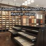 Reeltor Showroom Profile Picture