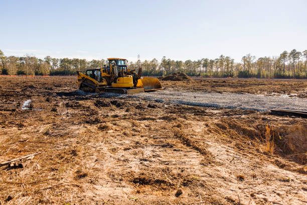 Which Land Clearing Method Is Right for Your Property?