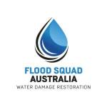 Flood Squad Profile Picture