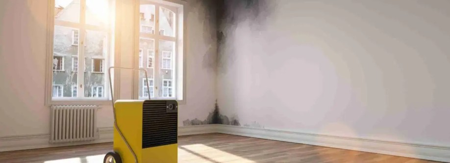 Flood Squad Cover Image