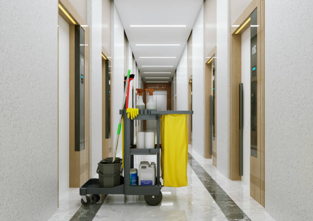 How Janitorial Service Prevents Mold and Allergens in Buildings