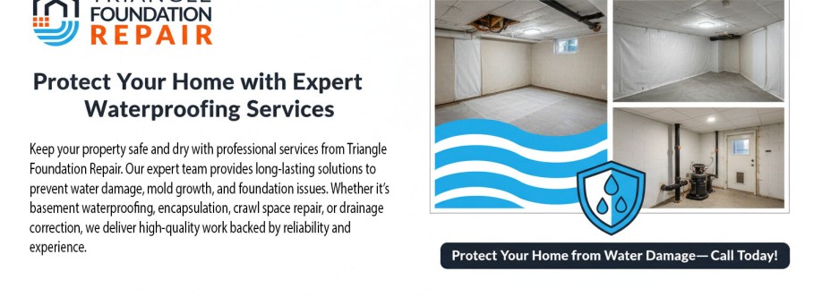 Triangle Foundation Repair Cover Image