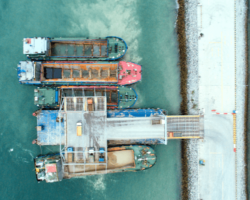 Crab Export from India: Key Trends and Opportunities