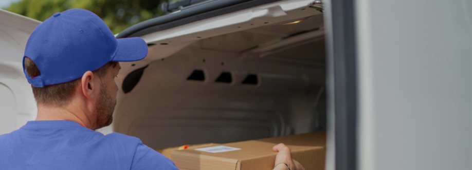 Lumi Drive Cover Image