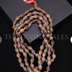 Rudraksha mala Profile Picture