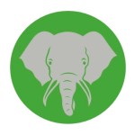 Elephant Trunk Profile Picture