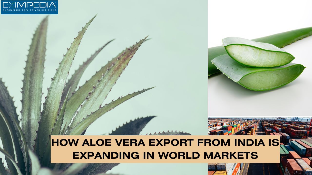 Eximpedia — How Aloe Vera Export from India Is Expanding in...