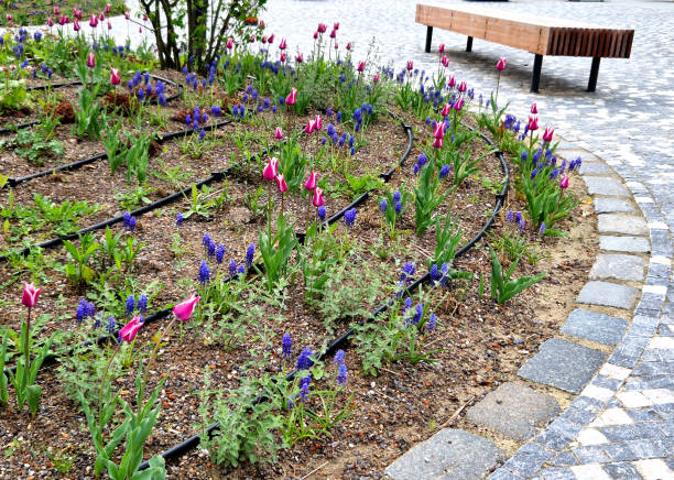 How Can a Mulch Supplier Help You Prep Your Garden for Spring?