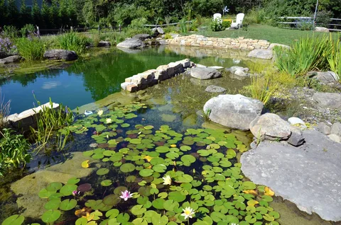 How a Pond Contractor Builds a Low-Maintenance Pond for Busy Families? - London Connected