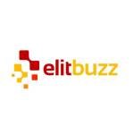 ElitBuzz Technologies Ltd profile picture