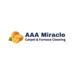 AAA Miracle Profile Picture