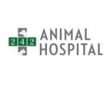 242 Animal Hospital Profile Picture
